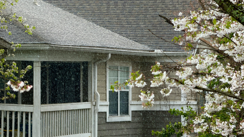 Rain falling near flowering trees